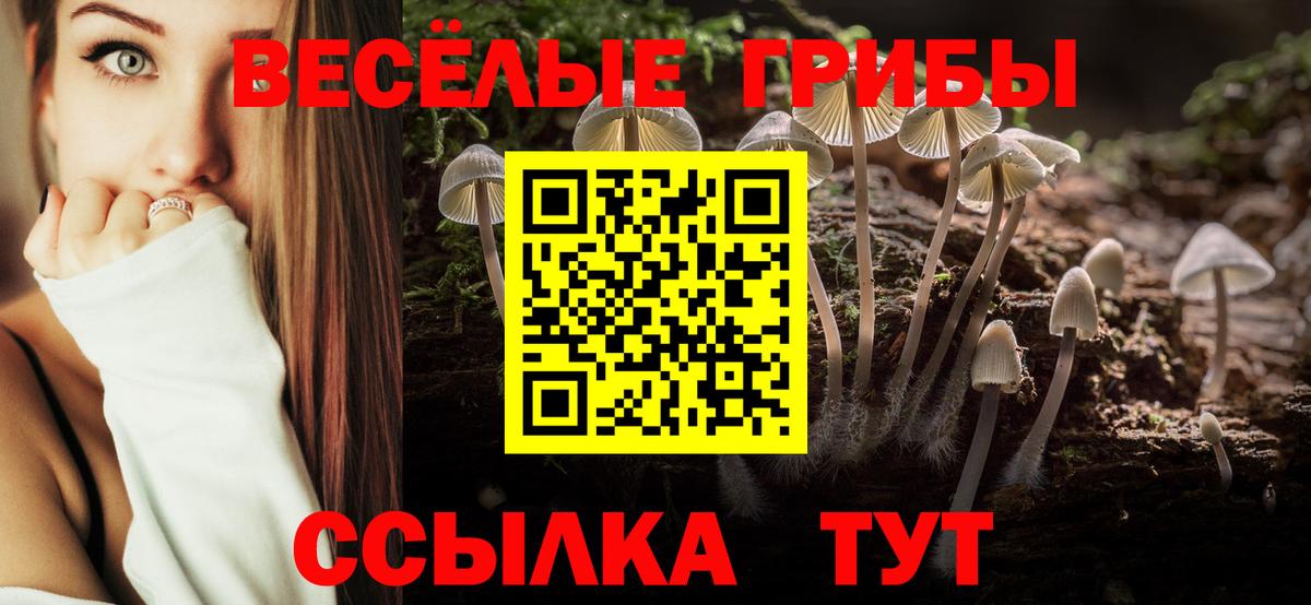 Нарьян-Мар  Галлюциногенные грибы Magic Shrooms  закладка  Вход с VPN 
