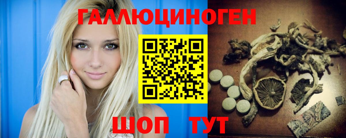 Псилоцибиновые грибы Psilocybine cubensis Нарьян-Мар